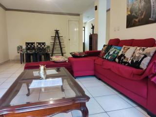 Pet friendly, amueblado, jardín y garaje - 0
