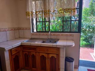 Pet friendly, amueblado, jardín y garaje - 5