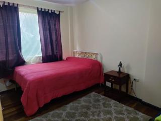 Pet friendly, amueblado, jardín y garaje - 2