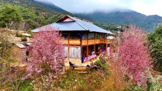 homestayalenh - 2