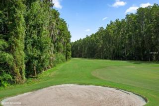 Saddlebrook Golf Course view Condo with Kitchen - 3