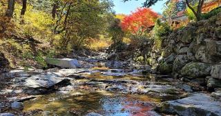 Gapyeong Dume Mountain Pension - 2