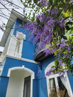 Rừng Thông Villa Hotel - 0