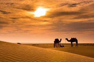 Joggan Jaisalmer Camp - 5