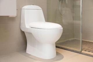City Comfort Inn Dongguan Shijie Jiarong Shopping Plaza - 7