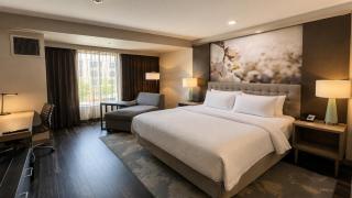 Hotel Indigo Frisco by IHG - Frisco - 8