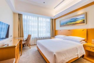 Vienna Hotel Shenyang Central Street - 7