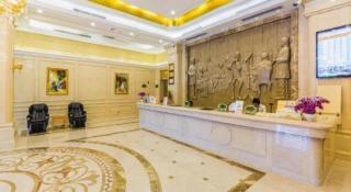Vienna Hotel Guangdong Meizhou Fengshun - 4