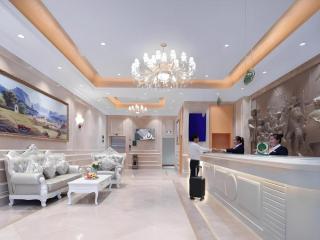 Vienna Hotel Qinghai Dachaidan - 9