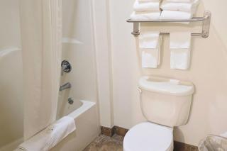 Quality Inn Durand I-69 - 1