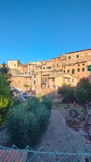 Ciliano 16 - 1