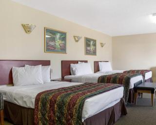 Rodeway Inn West Fargo Main Ave - 2
