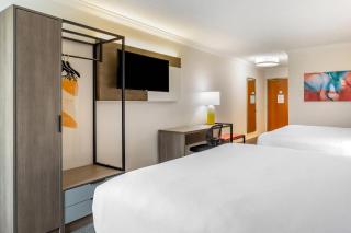 Comfort Inn & Suites Hadley - Amherst - Hadley - 1