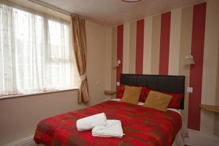 Boltonia - Blackpool - 2