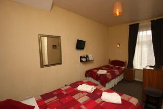 Boltonia - Blackpool - 7