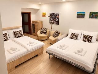 O2 Arena 1 minute walk - Apt Moravina - Prague - 2