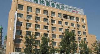 GreenTree Inn Urumqi South Xinhua Road Hotel - 5