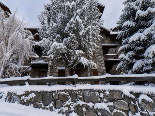 Tasseria home in El Tarter - 0