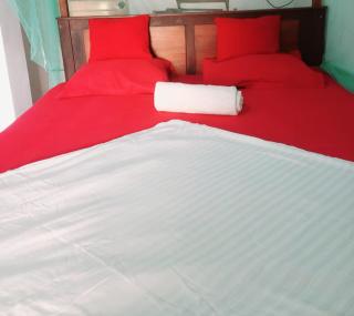 Waverley surf stay - 9