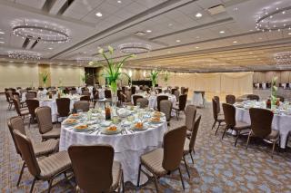 Crowne Plaza Chicago Ohare Hotel & Conf Ctr by IHG - 5
