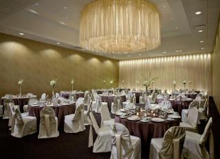 Crowne Plaza Chicago Ohare Hotel & Conf Ctr by IHG - 1