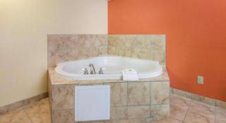 Rodeway Inn & Suites - 4
