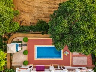 ALAYA STAYS MKS Farms 3-BHK Farm Villa with Private Swimming Pool, Garden Gazebo, Arched Verandah, Landscaped Lawn & Poolside Dining - 9