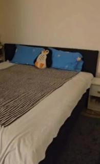 Cozy Apartment 15 min to Center and Airport - 3