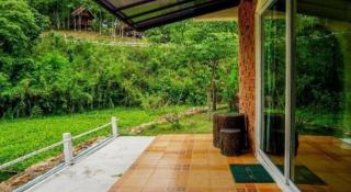 Dandelion Resort - 4