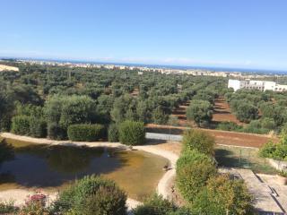 Appartamento Giardinelli - Vale - Fasano - 4