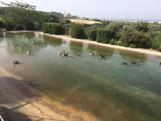 Appartamento Giardinelli - Vale - Fasano - 1