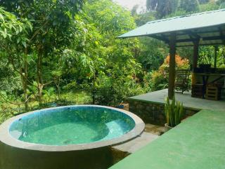 Rainforest Tea Garden Cabin-River View - 0