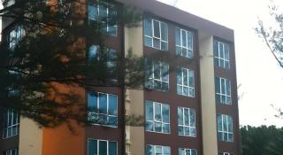 The Orchid Hotel - 5
