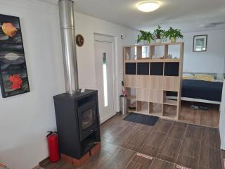 Apartma Dividenda - Ptuj - 1