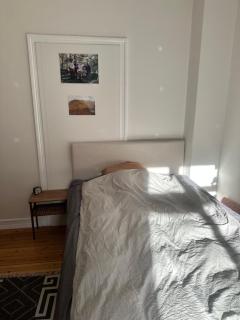 Apartment near Assistens - 2