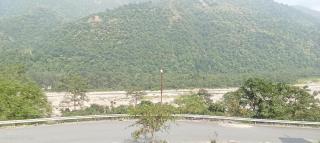 Evergreen - 5