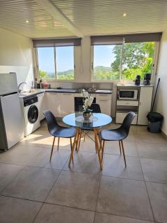 Studio cosy Gros-Morne 32 m², vue jardin - 3