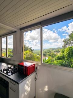 Studio cosy Gros-Morne 32 m², vue jardin - 4