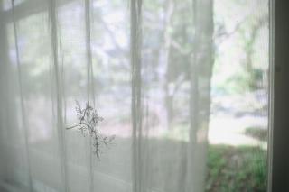 Tara House - 5