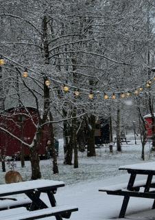 The Hamlet at Samlesbury Hall - 4