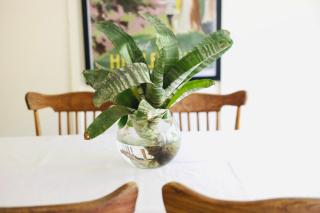 Tara House - 2
