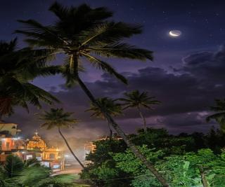 Goa beach holiday in - 9