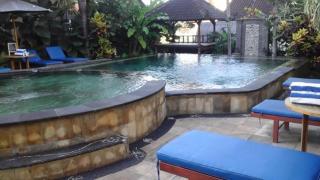 Loka Pala Villa - Ubud - 9