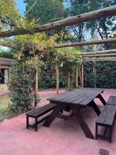 Casa rústica en zona de bodegas amplio jardín pileta fogón y churrasqueara - 6