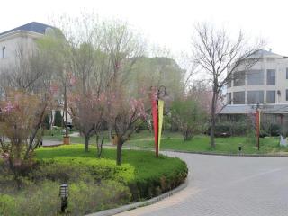 Yantai Golden Beach Hotel - 2