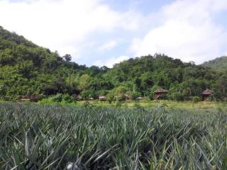Lom Rak Resort - 4