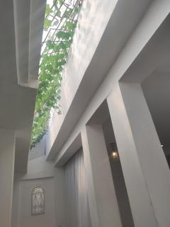 Mini departamento con jardín - 2