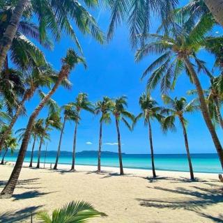 Rob and Fred Resort by Cocotel - 6