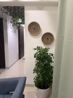 Cloud Forest - Comfort Cartel - 2