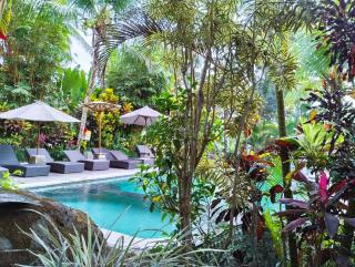 Alamdini Resort Ubud - 6